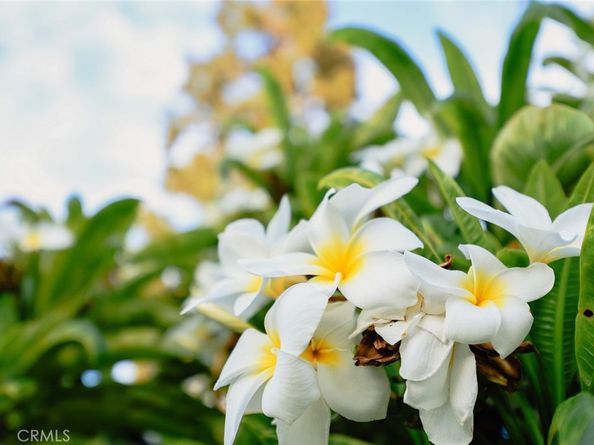 9711 Garibaldi Avenue, Temple City CA 91780