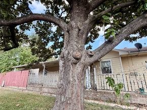 7007 Avenue F, Houston TX 77011