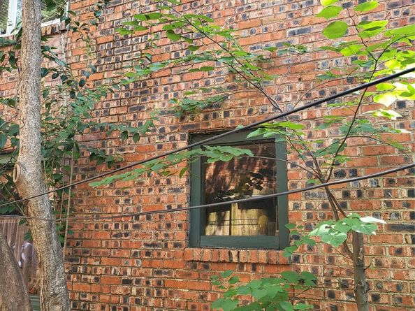 1529 Welch Street, Houston TX 77006