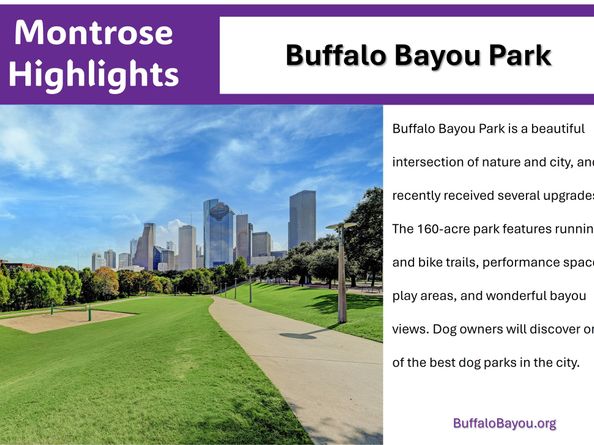 1529 Welch Street, Houston TX 77006