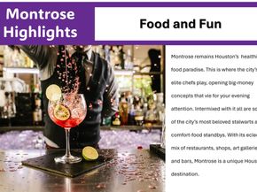 1529 Welch Street, Houston TX 77006