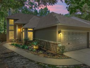 11 Endor Forest Place, The Woodlands TX 77382