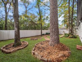 35 E Bigelow Oak Court Court, The Woodlands TX 77381