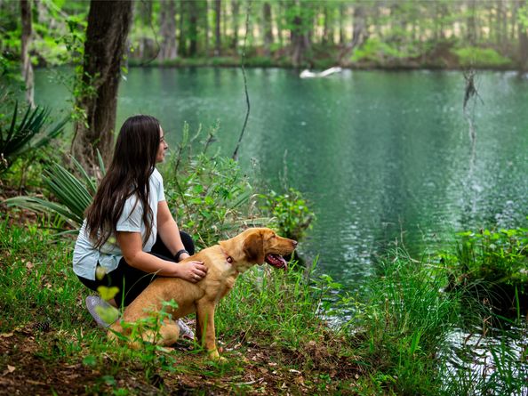 9623 Mount Brewer Lane, Porter TX 77365