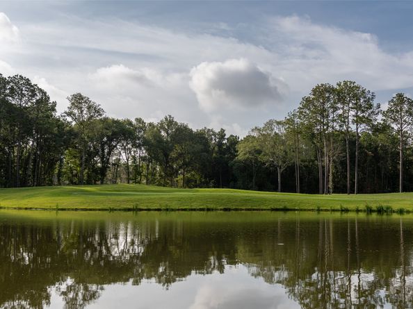 9623 Mount Brewer Lane, Porter TX 77365