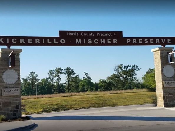 16123 Chasemore Drive, Spring TX 77379