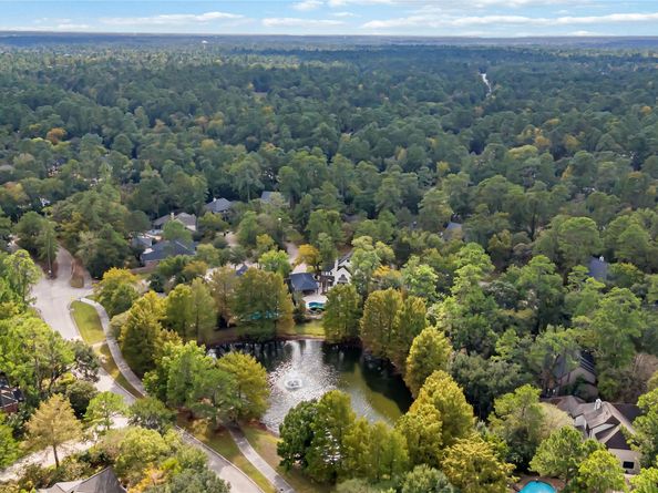 59 W Misty Morning Trace, The Woodlands TX 77381