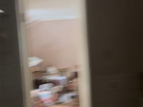 1829 Skinner Road, Houston TX 77093