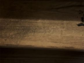 1829 Skinner Road, Houston TX 77093