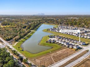 10143 California Lily Ln Lane, Houston TX 77016