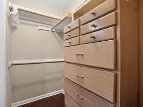 10 S Greenbud Court, The Woodlands TX 77380