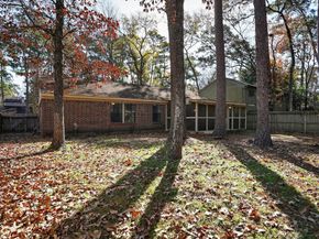 10 S Greenbud Court, The Woodlands TX 77380