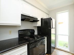 10211 Sugar Branch Drive 445, Houston TX 77036