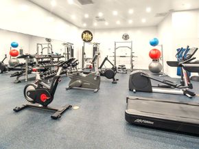 3350 Mccue Road 201, Houston TX 77056