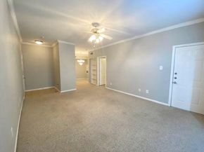 2255 Braeswood Park Drive 204, Houston TX 77030