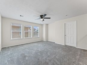 13310 Cypress Palms Court, Cypress TX 77429