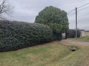 2824 Black Street, Houston TX 77023