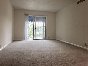 2601 Bellefontaine Street C312, Houston TX 77025