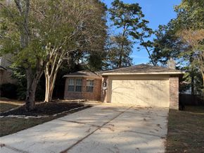 58 Shimmer Pond Pl, Conroe TX 77385