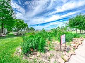 12668 Newbrook Drive 495, Houston TX 77072