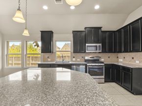 19706 Terrazza Lake Lane, Richmond TX 77407