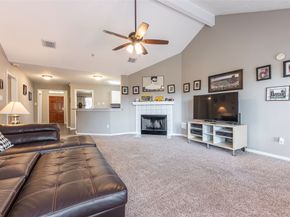 16031 Capistrano Falls Drive, Friendswood TX 77546