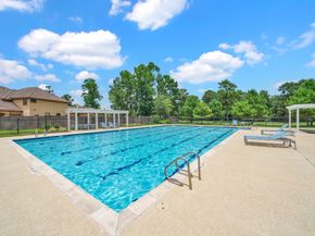 26006 Carolina Cherry Court, Spring TX 77389