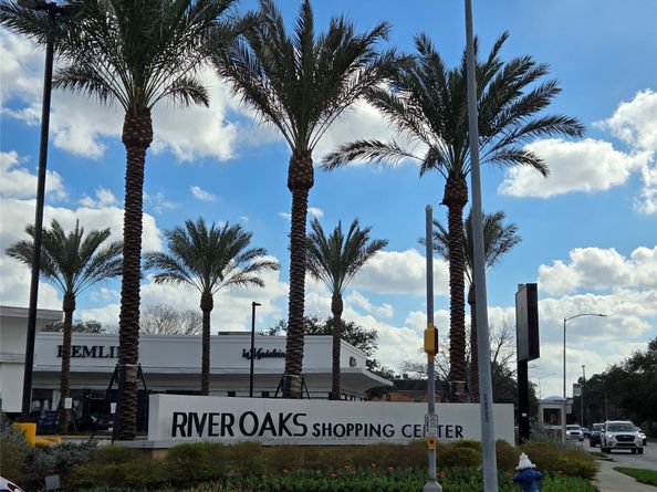 505 Jackson Hill Street S 108, Houston TX 77007