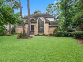 14 Cascade Springs Place, The Woodlands TX 77381
