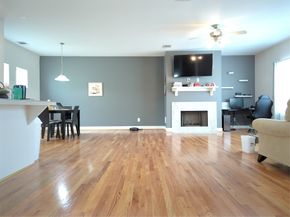 11603 Main Spruce Drive, Houston TX 77025