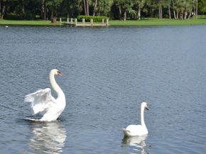 3129 Millwood Terrace 1380, Boca Raton FL 33431