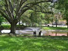 6200 SW 183rd Way, Southwest Ranches FL 33331