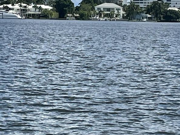 3581 S Ocean Boulevard 7e, South Palm Beach FL 33480