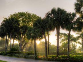 19629 Bay Cove Drive, Boca Raton FL 33434