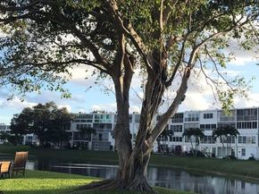 2069 Oakridge F 2069, Deerfield Beach FL 33442