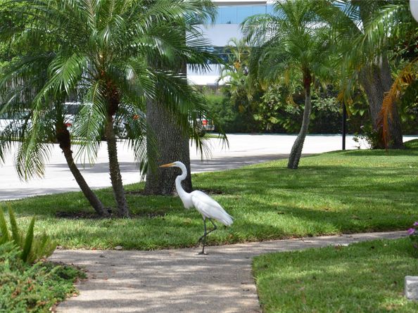 6201 Bay Club Dr 4, Fort Lauderdale FL 33308