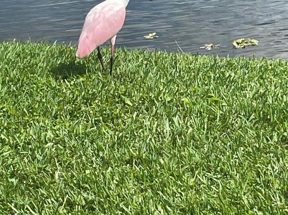 233 Rio Vista Circle, Atlantis FL 33462