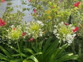 233 Rio Vista Circle, Atlantis FL 33462