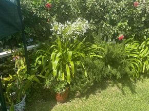 233 Rio Vista Circle, Atlantis FL 33462