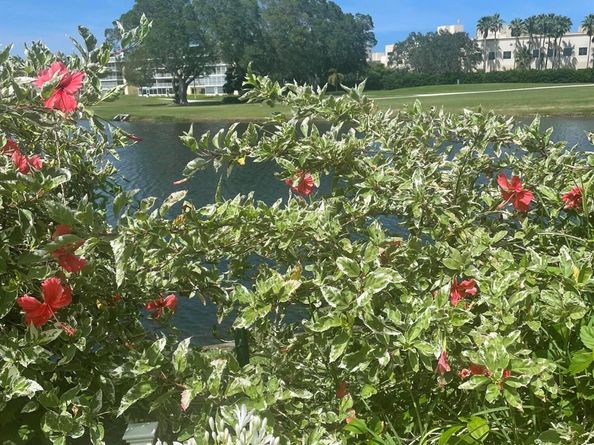 233 Rio Vista Circle, Atlantis FL 33462