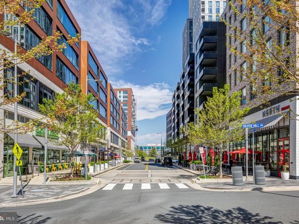 8205 Dunsinane Court, Mclean VA 22102