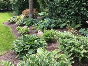 412 Rices Mill Road, Wyncote PA 19095