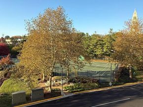 2151 Jamieson Avenue 809, Alexandria VA 22314