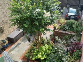 225 Montrose Street, Philadelphia PA 19147