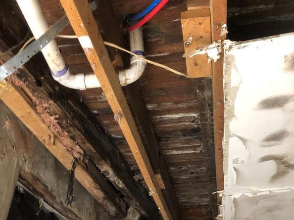 3341 Hartville Street, Philadelphia PA 19134