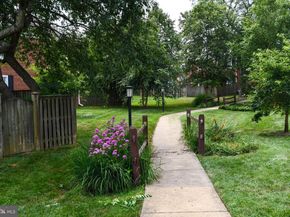 4698 36TH Street S A, Arlington VA 22206