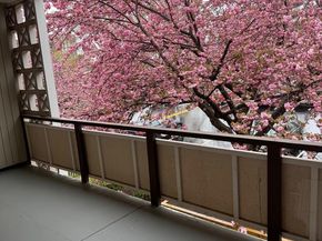 7553 Springlake Drive D, Bethesda MD 20817