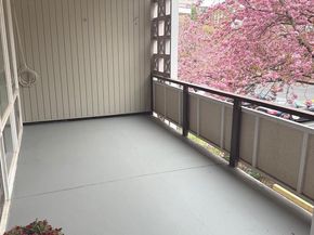 7553 Springlake Drive D, Bethesda MD 20817