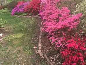 2424 S Queen Street, Arlington VA 22202