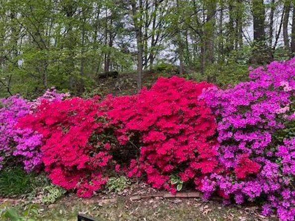 2424 S Queen Street, Arlington VA 22202